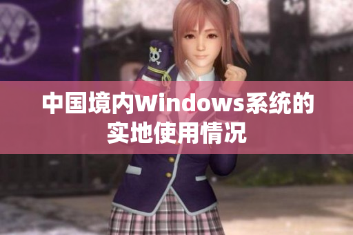 中国境内Windows系统的实地使用情况