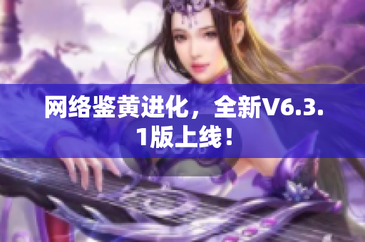 网络鉴黄进化，全新V6.3.1版上线！