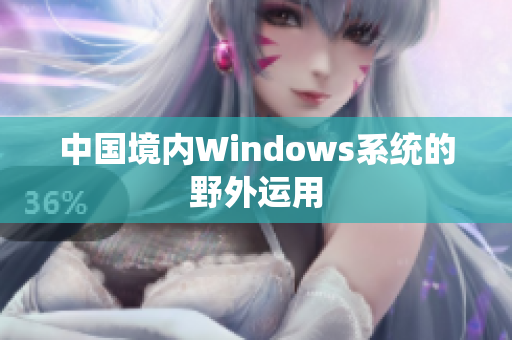 中国境内Windows系统的野外运用