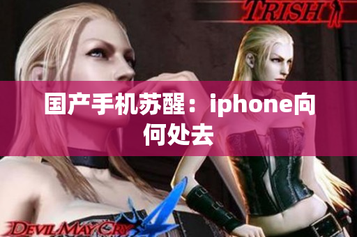 国产手机苏醒：iphone向何处去