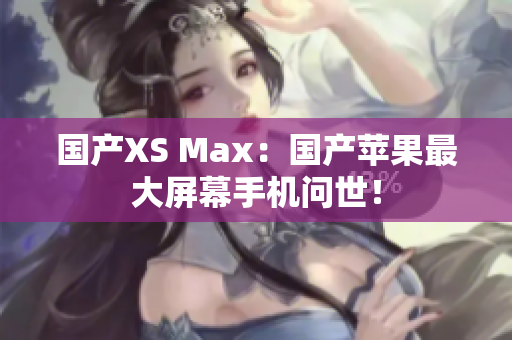 国产XS Max：国产苹果最大屏幕手机问世！