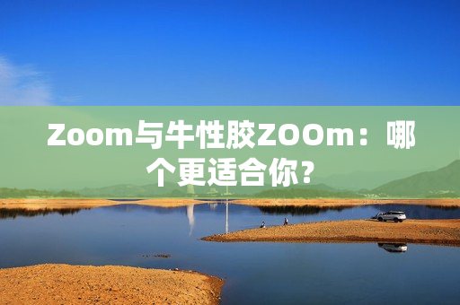 Zoom与牛性胶ZOOm：哪个更适合你？