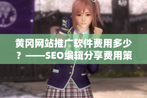 黄冈网站推广软件费用多少？——SEO编辑分享费用策略