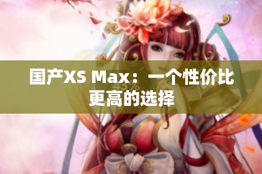 国产XS Max：一个性价比更高的选择