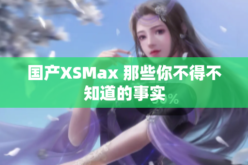 国产XSMax 那些你不得不知道的事实
