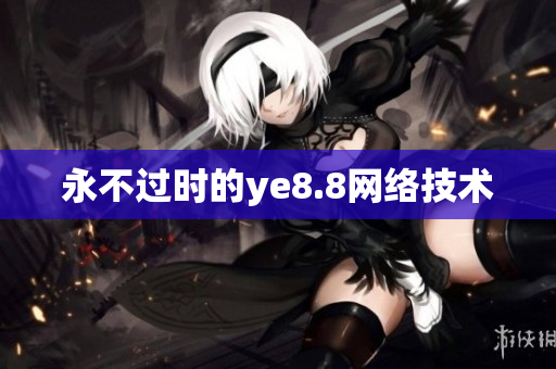 永不过时的ye8.8网络技术