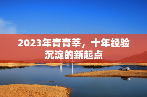 2023年青青莘，十年经验沉淀的新起点