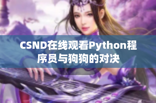 CSND在线观看Python程序员与狗狗的对决