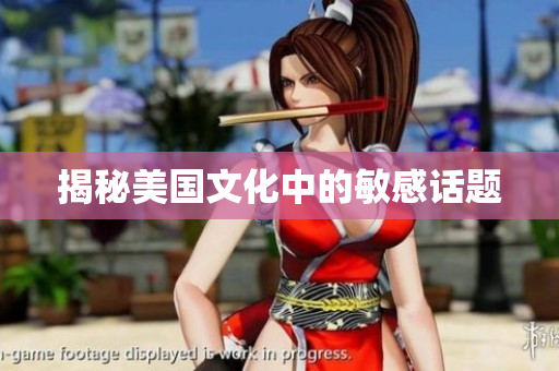 揭秘美国文化中的敏感话题