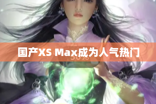 国产XS Max成为人气热门
