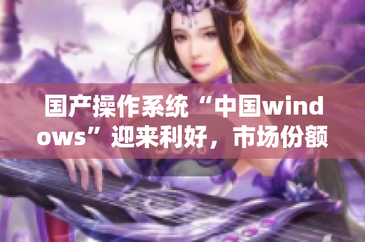 国产操作系统“中国windows”迎来利好，市场份额逐步扩大