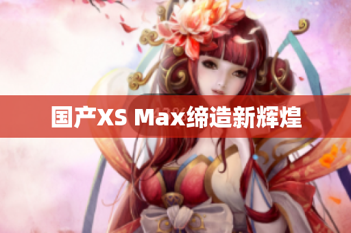 国产XS Max缔造新辉煌
