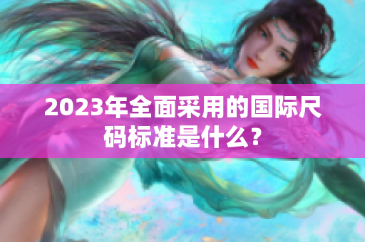2023年全面采用的国际尺码标准是什么？