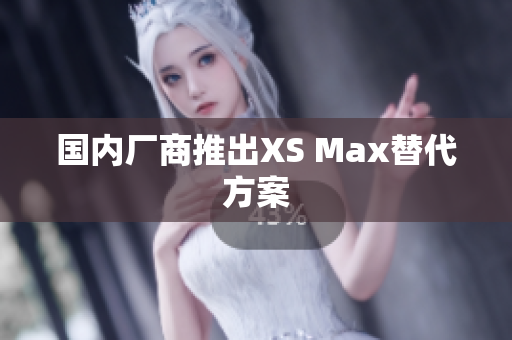 国内厂商推出XS Max替代方案