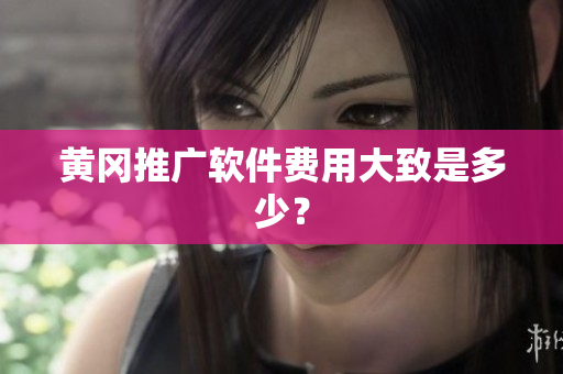 黄冈推广软件费用大致是多少？