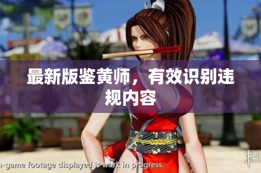 最新版鉴黄师，有效识别违规内容
