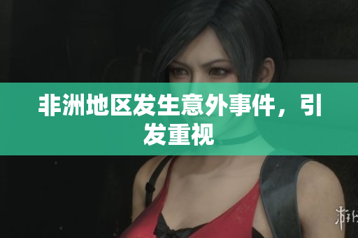 非洲地区发生意外事件，引发重视