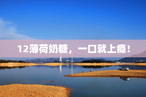 12薄荷奶糖，一口就上瘾！