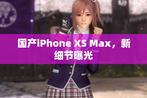 国产iPhone XS Max，新细节曝光