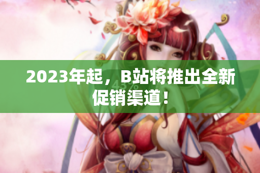 2023年起，B站将推出全新促销渠道！