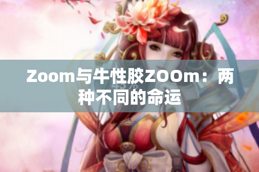 Zoom与牛性胶ZOOm：两种不同的命运