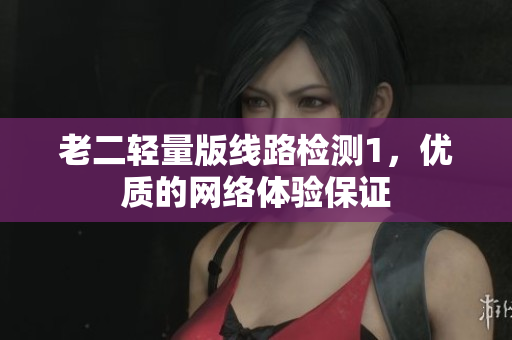 老二轻量版线路检测1，优质的网络体验保证