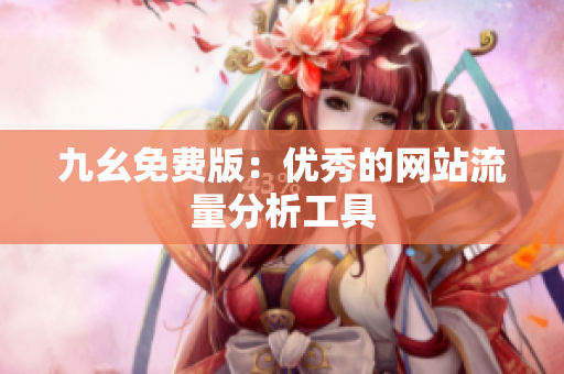 九幺免费版：优秀的网站流量分析工具