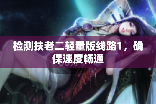 检测扶老二轻量版线路1，确保速度畅通