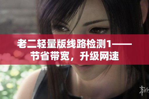 老二轻量版线路检测1——节省带宽，升级网速