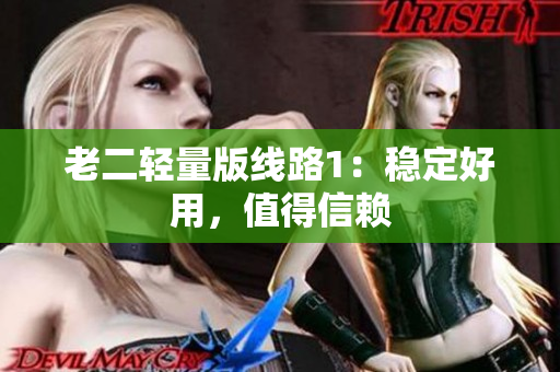 老二轻量版线路1：稳定好用，值得信赖