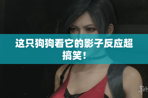 这只狗狗看它的影子反应超搞笑！