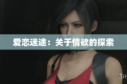 爱恋迷途：关于情欲的探索