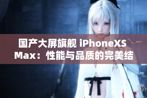 国产大屏旗舰 iPhoneXS Max：性能与品质的完美结合