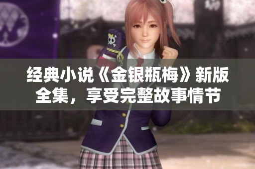 经典小说《金银瓶梅》新版全集，享受完整故事情节