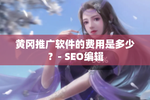 黄冈推广软件的费用是多少？- SEO编辑