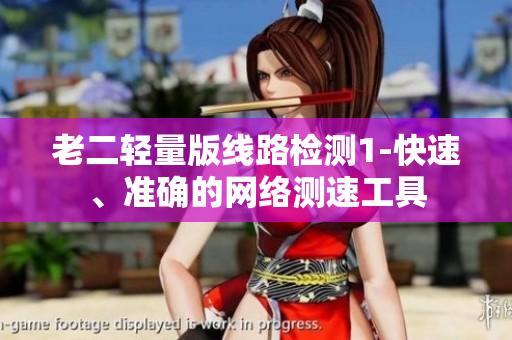 老二轻量版线路检测1-快速、准确的网络测速工具