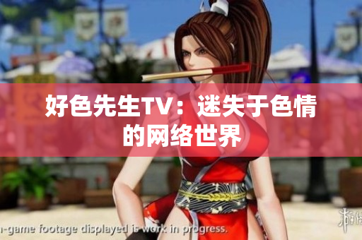 好色先生TV：迷失于色情的网络世界