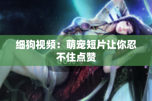 细狗视频：萌宠短片让你忍不住点赞