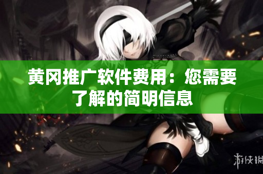 黄冈推广软件费用：您需要了解的简明信息