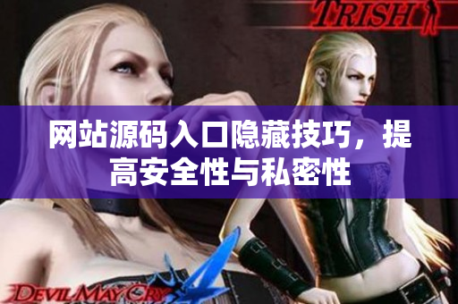 网站源码入口隐藏技巧，提高安全性与私密性