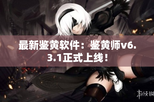 最新鉴黄软件：鉴黄师v6.3.1正式上线！