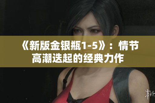 《新版金银瓶1-5》：情节高潮迭起的经典力作