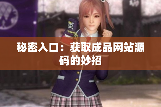 秘密入口：获取成品网站源码的妙招