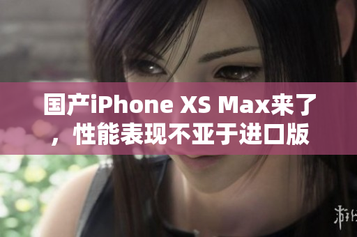 国产iPhone XS Max来了，性能表现不亚于进口版