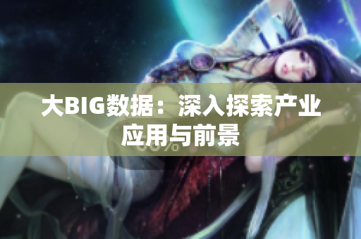大BIG数据：深入探索产业应用与前景