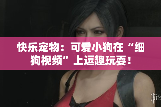 快乐宠物：可爱小狗在“细狗视频”上逗趣玩耍！