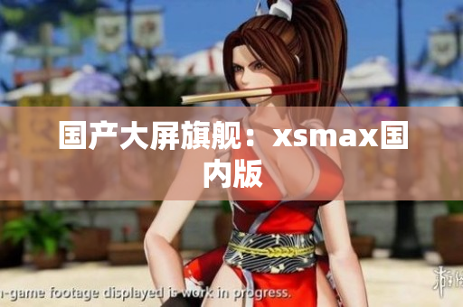 国产大屏旗舰：xsmax国内版