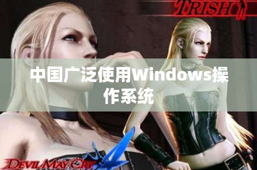 中国广泛使用Windows操作系统