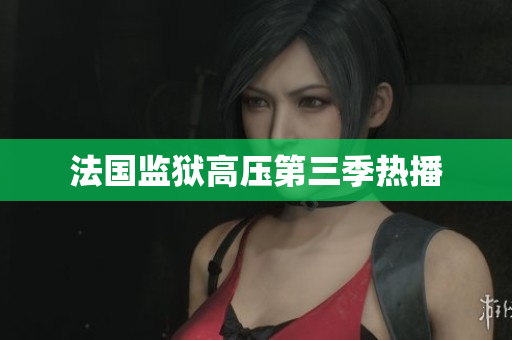 法国监狱高压第三季热播