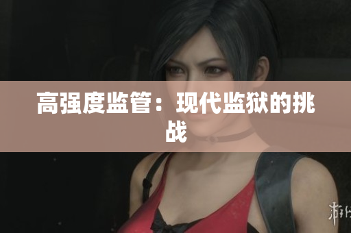 高强度监管：现代监狱的挑战